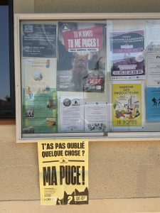 SNI 2025 – Actions de sensibilisation par affichage