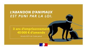 🚨 ABANDONS D’ANIMAUX SUR LA COMMUNE DE MARSOLAN 🚨
