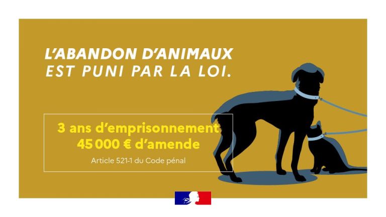 🚨 ABANDONS D’ANIMAUX SUR LA COMMUNE DE MARSOLAN 🚨