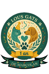 🎉 1 an déjà ! 🎉