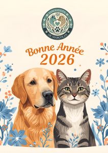 Une nouvelle année commence…