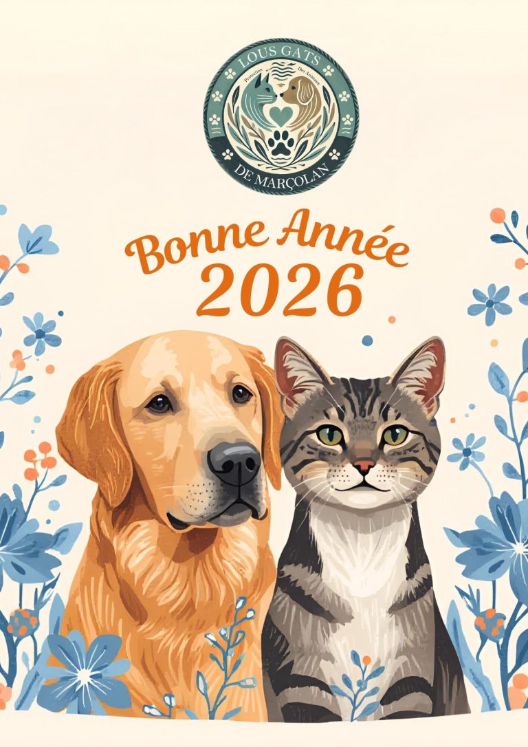 Une nouvelle année commence…