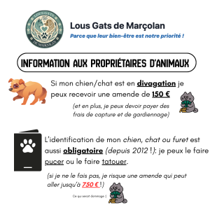 Information aux propriétaires d’animaux sur la commune de Marsolan – Cas de divagation/errance et risques associés